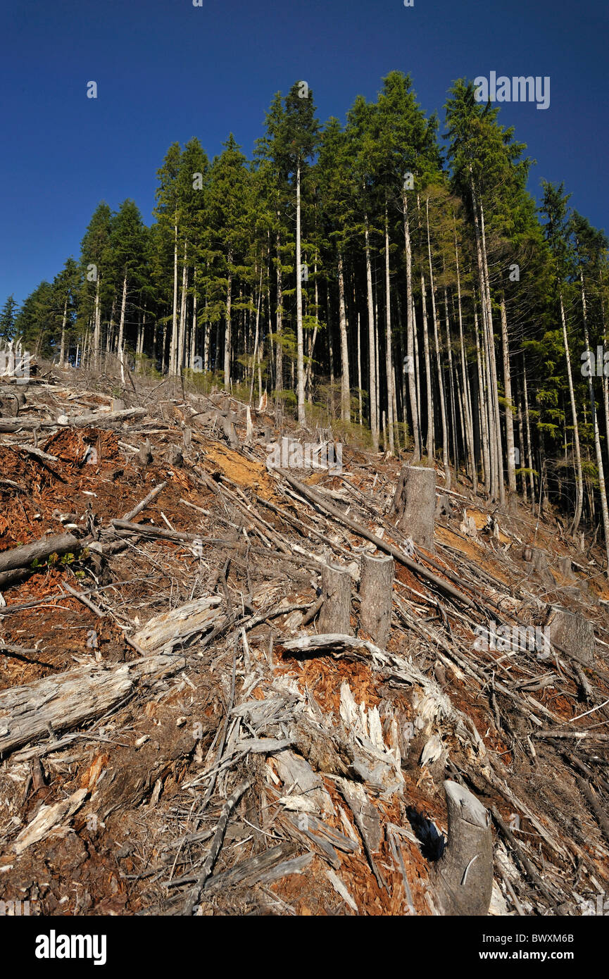 Clearwater River basin, Washington Foto Stock