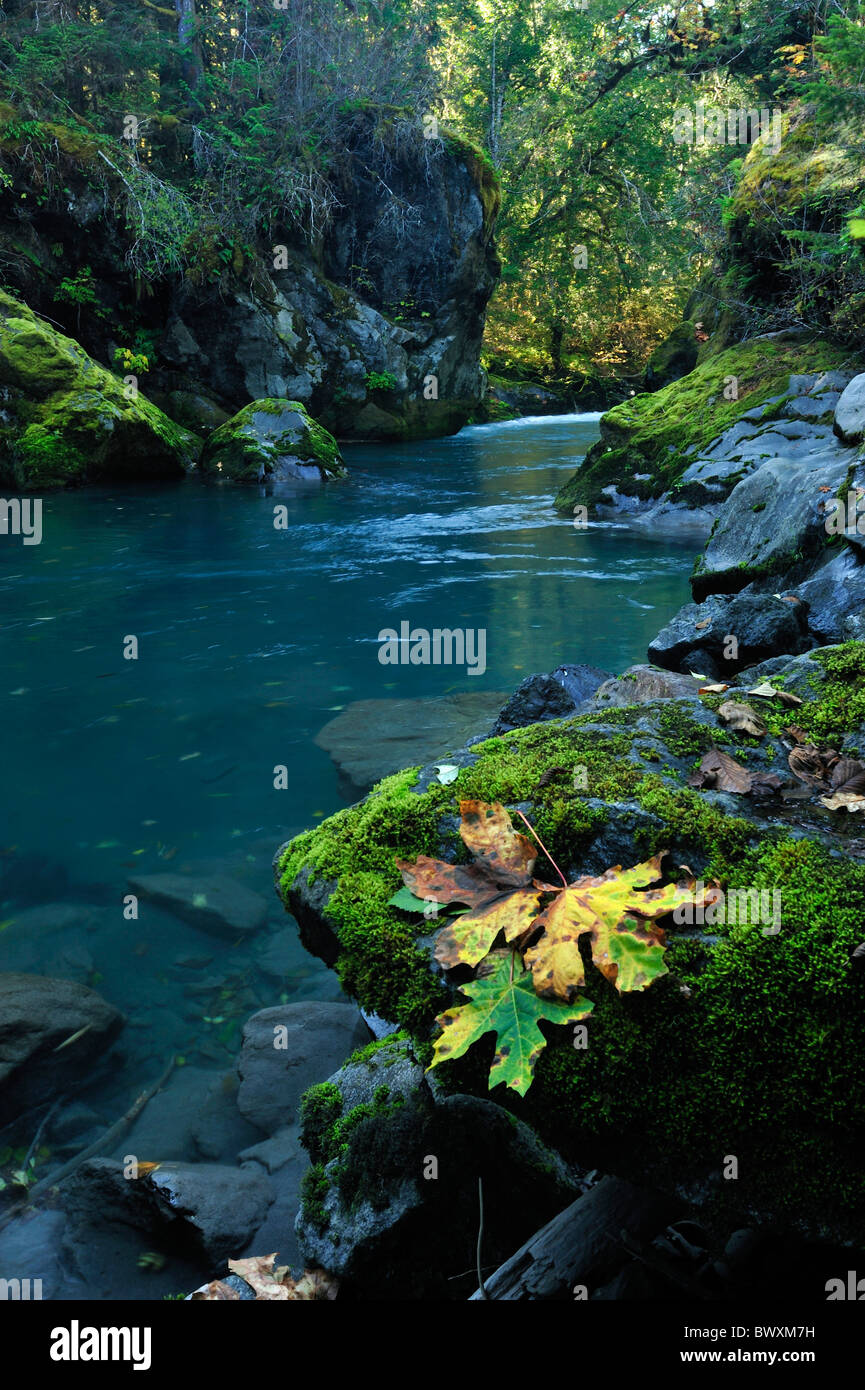 Dosewallips bacino idrografico, Washington Foto Stock