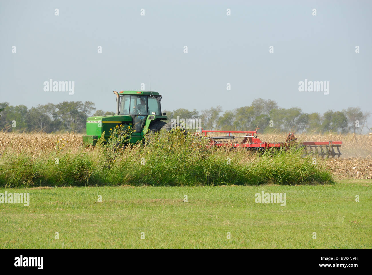 Un agricoltore la raccolta il suo raccolto di mais in un campo. Foto Stock