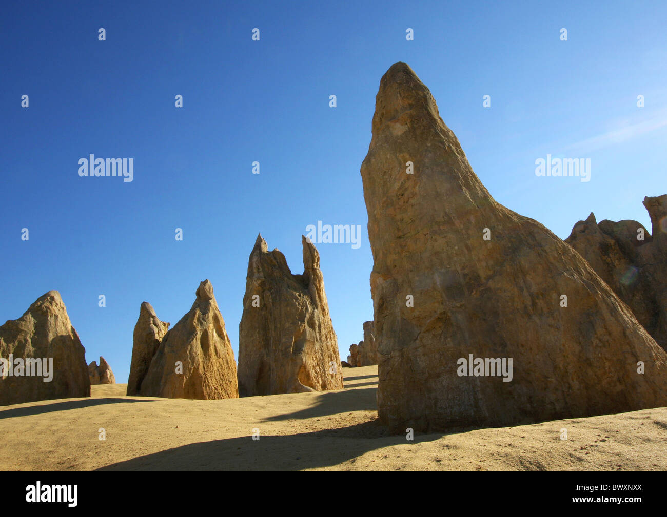 Deserto Pinnacles pietre in piedi in Nambung National Park nei pressi di Cervantes in Australia Occidentale Foto Stock