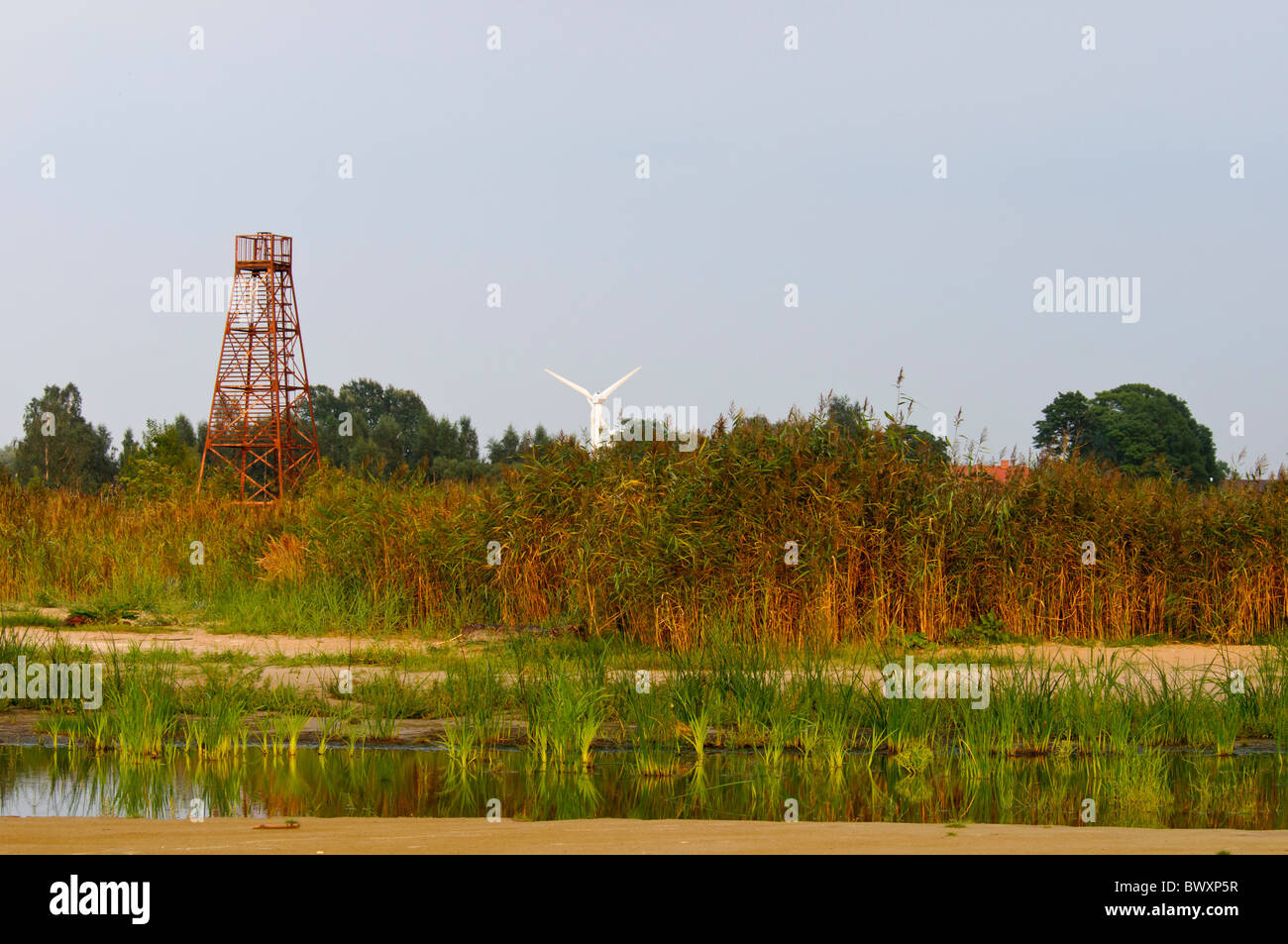 Habitat costieri e guardando la torre di Ainazi, Lettonia Foto Stock