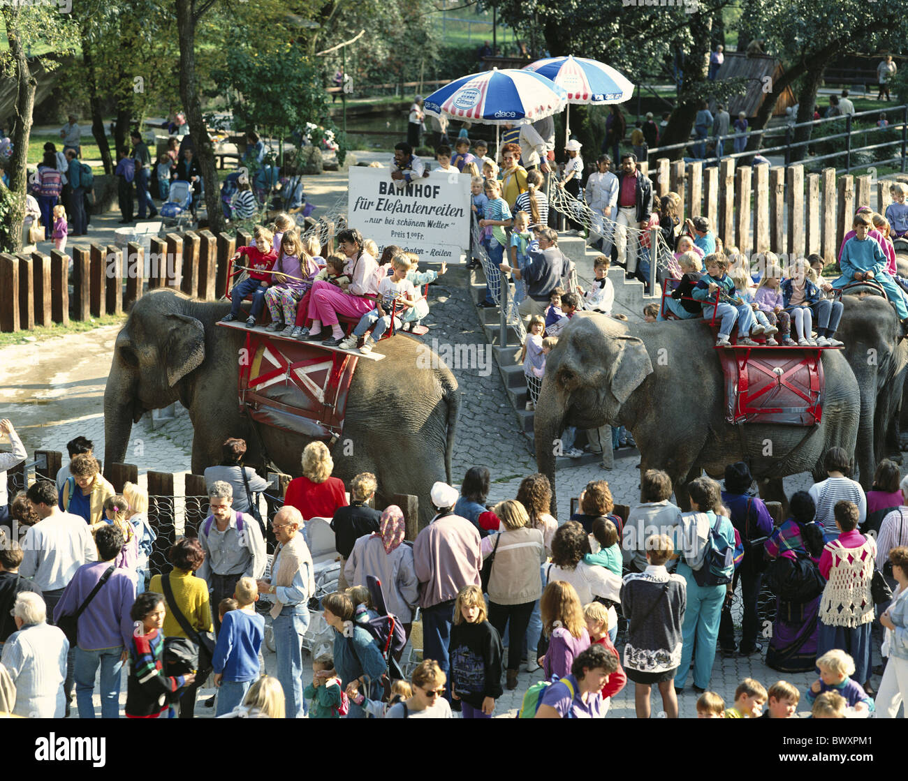 Di elefante equitazione elefante escursione genitori bambini bambino zoo Rapperswil Svizzera Europa cantone Foto Stock