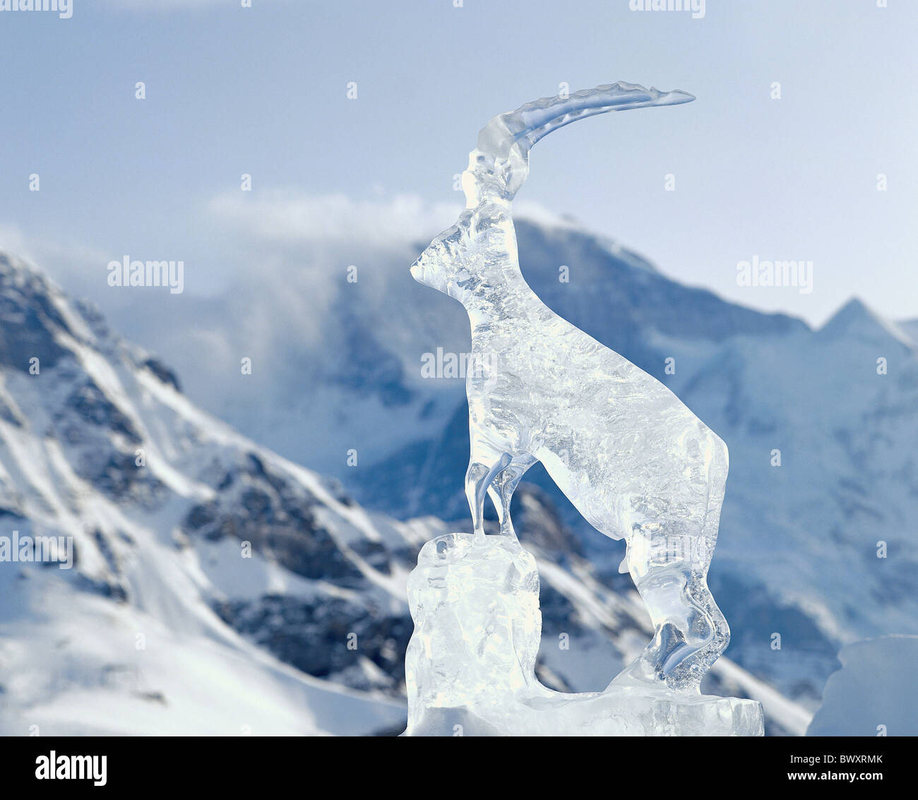 Inverno ghiacciolo scultura Capricorno Stambecco Europa svizzera Berna Mannlichen panorama di montagna Foto Stock