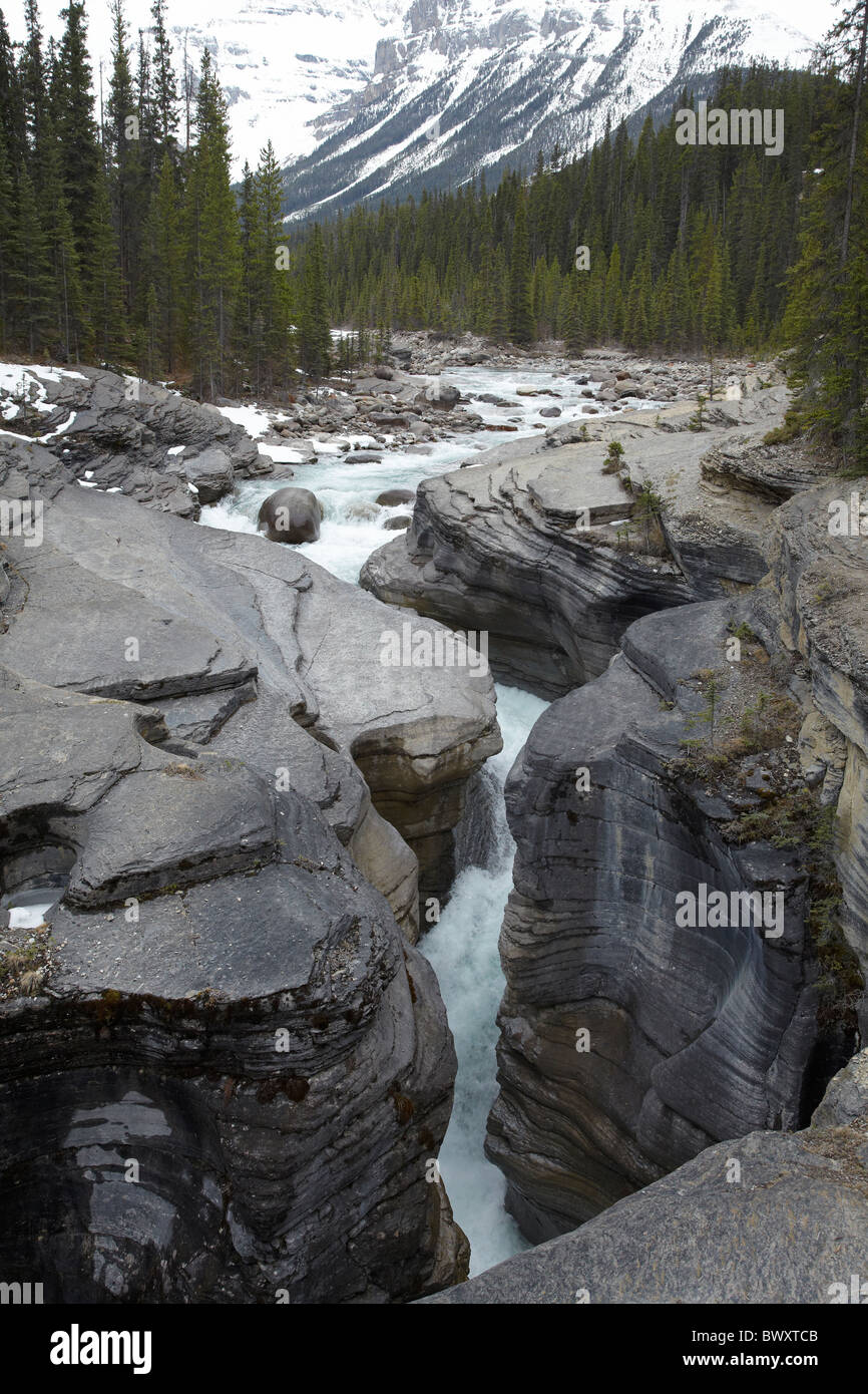 Fiume Mistaya cadere in Mistaya Canyon, Icefields Parkway, il Parco Nazionale di Banff, Alberta, Canada Foto Stock