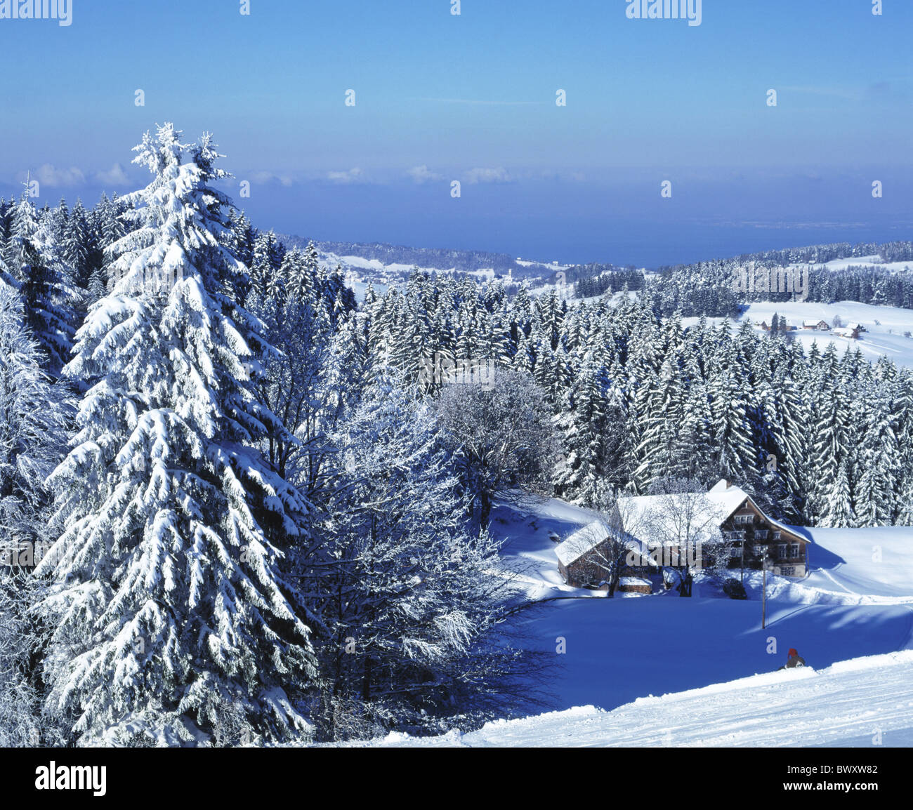 Scenario Appenzell agriturismo Lago di Costanza lago mare Svizzera Europa legno neve foresta coperta di neve snow ov Foto Stock