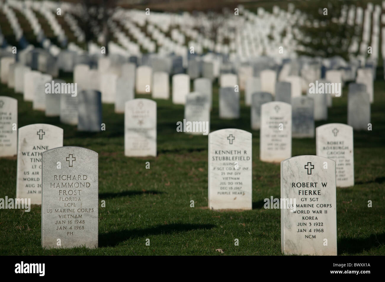 Righe di bianco pietre grave fade in distanza in Al Cimitero Nazionale di Arlington in Arlington, Virginia. Foto Stock