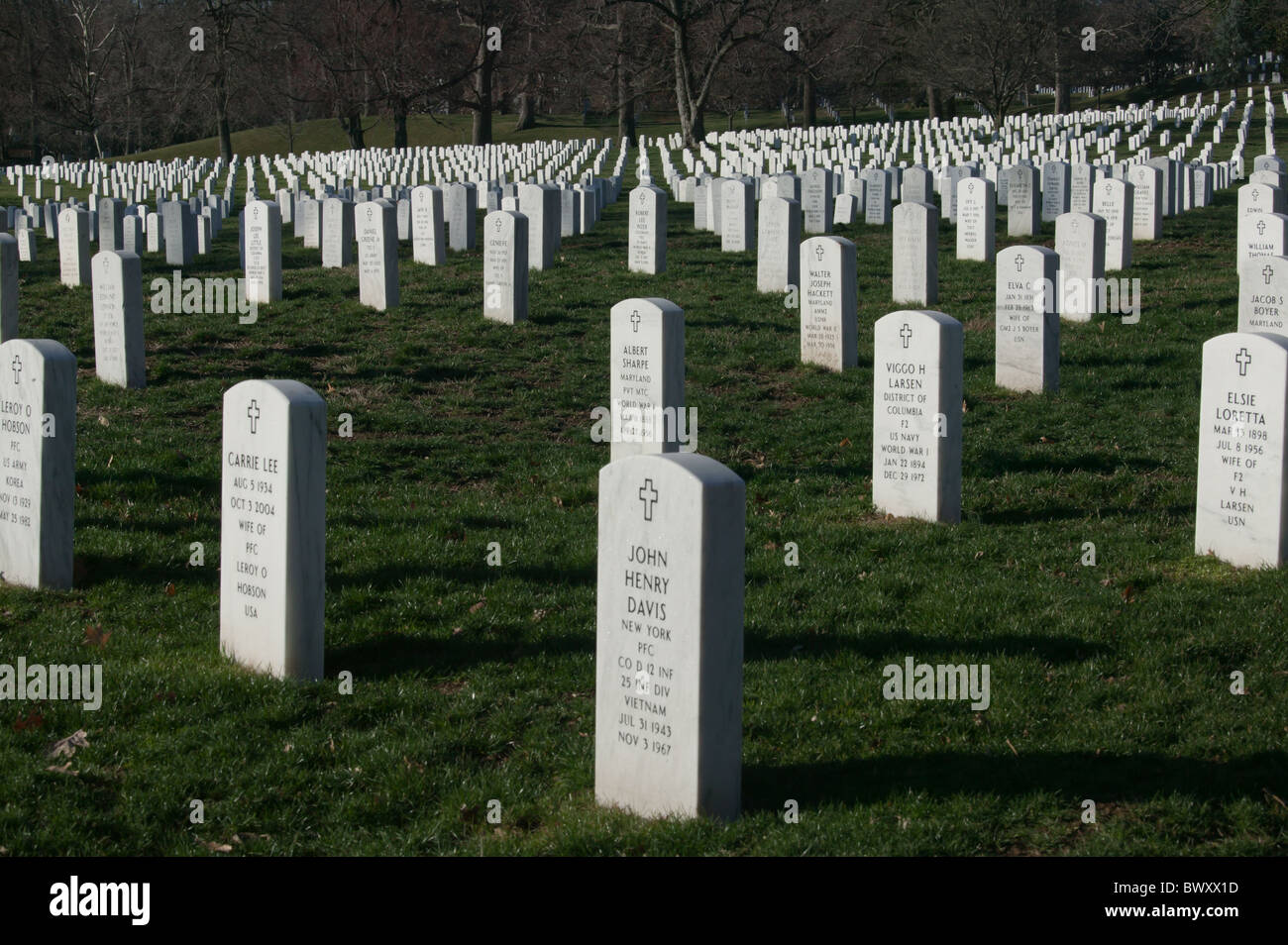 Righe di bianco pietre grave fade in distanza in Al Cimitero Nazionale di Arlington in Arlington, Virginia. Foto Stock
