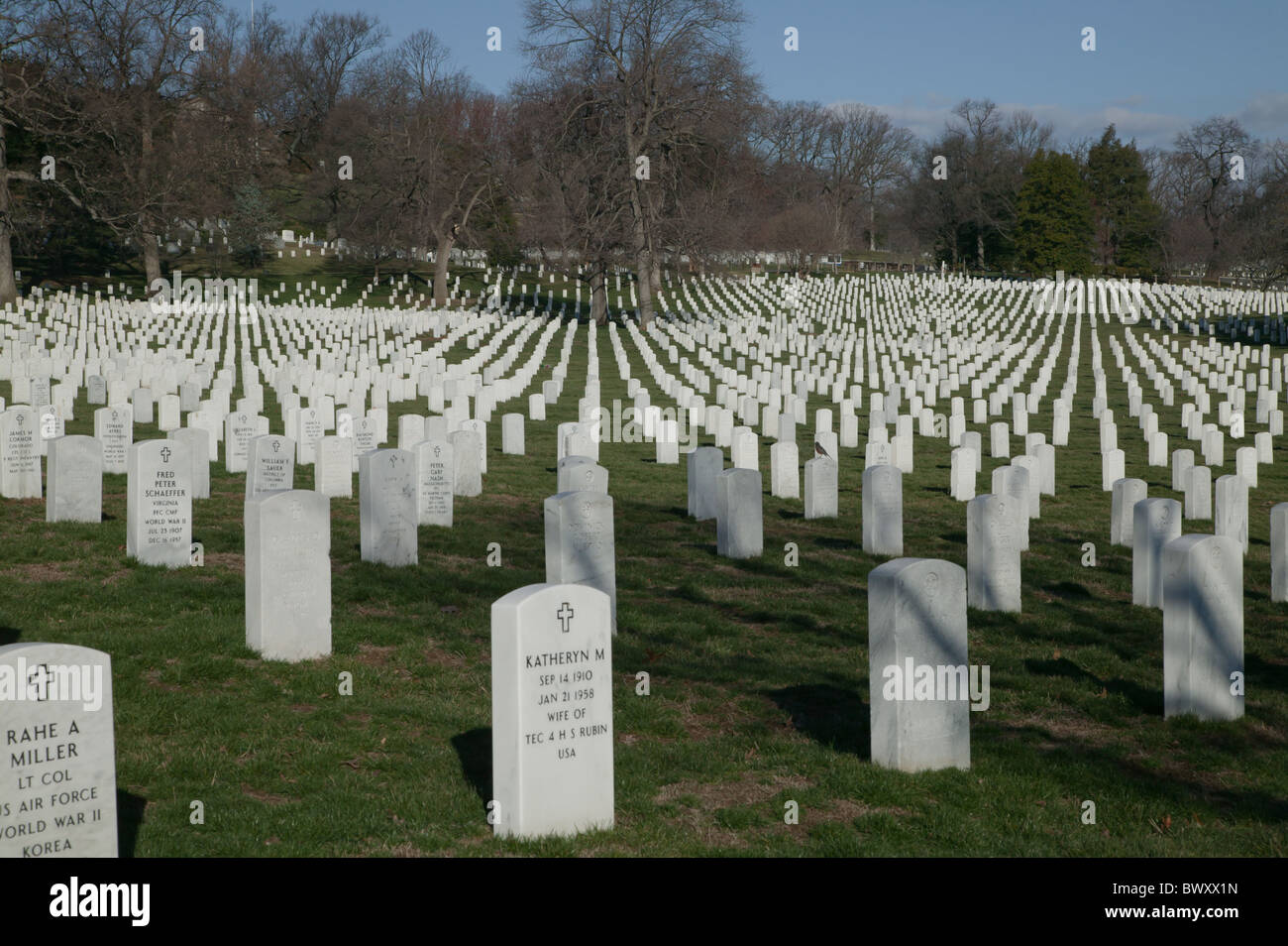 Righe di bianco pietre grave fade in distanza in Al Cimitero Nazionale di Arlington in Arlington, Virginia. Foto Stock