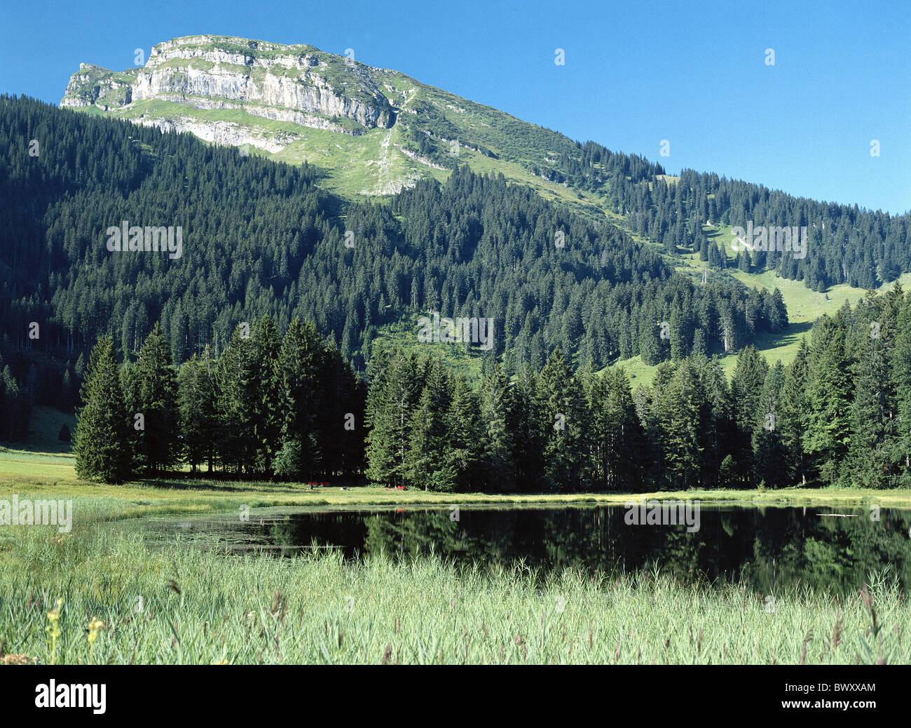 Scenario delle Alpi le foreste di conifere Svizzera Europa Schwendisee lago mare Schwendi canton San Gallo Toggenb Foto Stock
