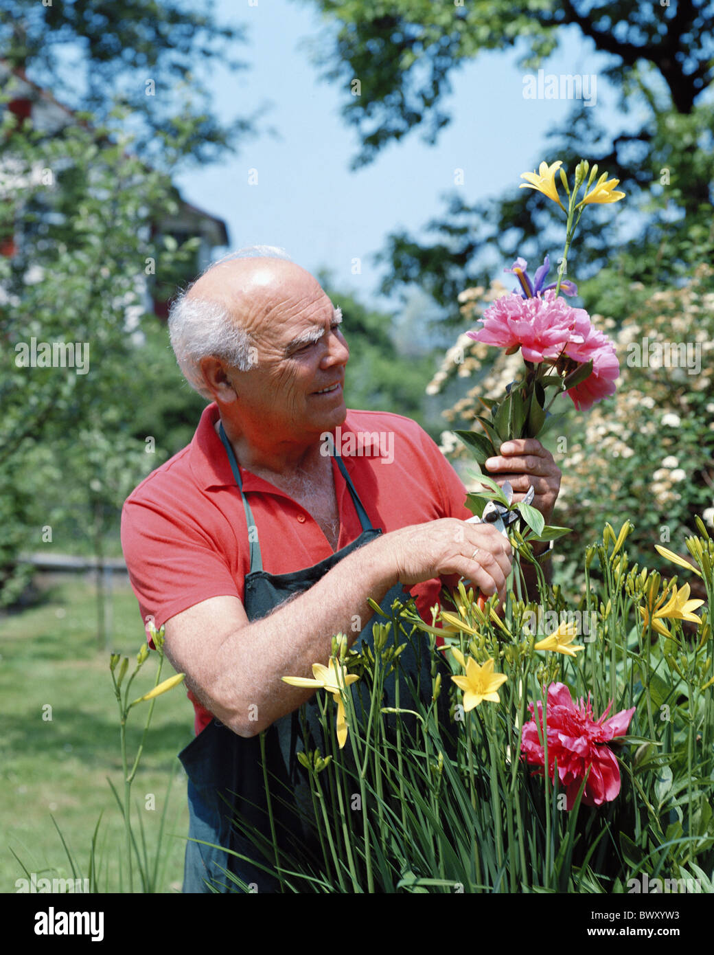 Indumenti da lavoro fiori giardino giardiniere amatoriale uomo anziano Foto Stock