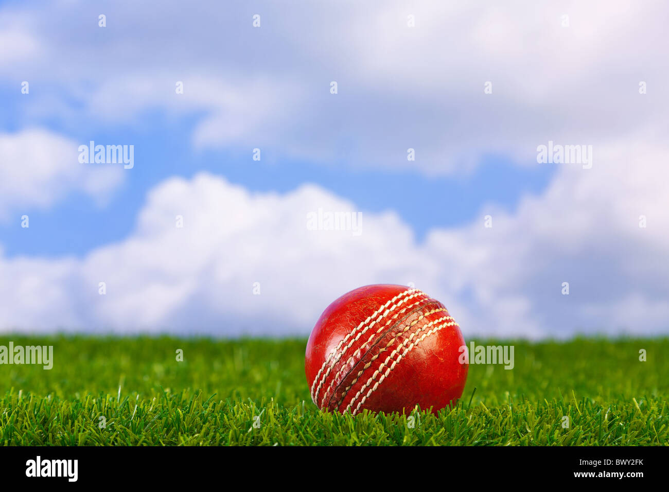Foto di una sfera di cricket su erba con lo sfondo del cielo. Foto Stock