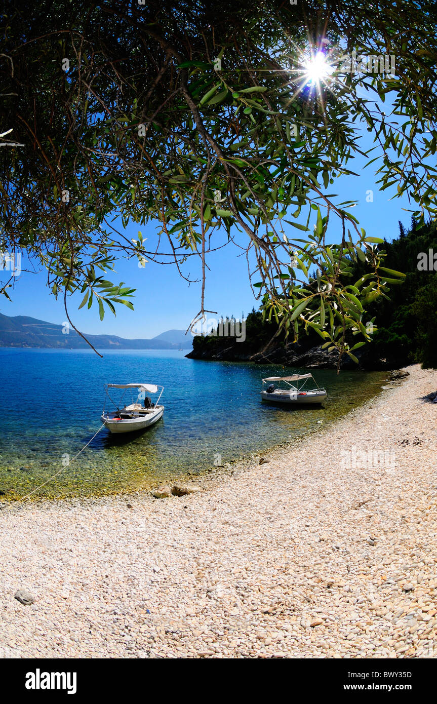 Albero di olivo, Horgota Beach, l'isola di Cefalonia in Grecia Foto Stock