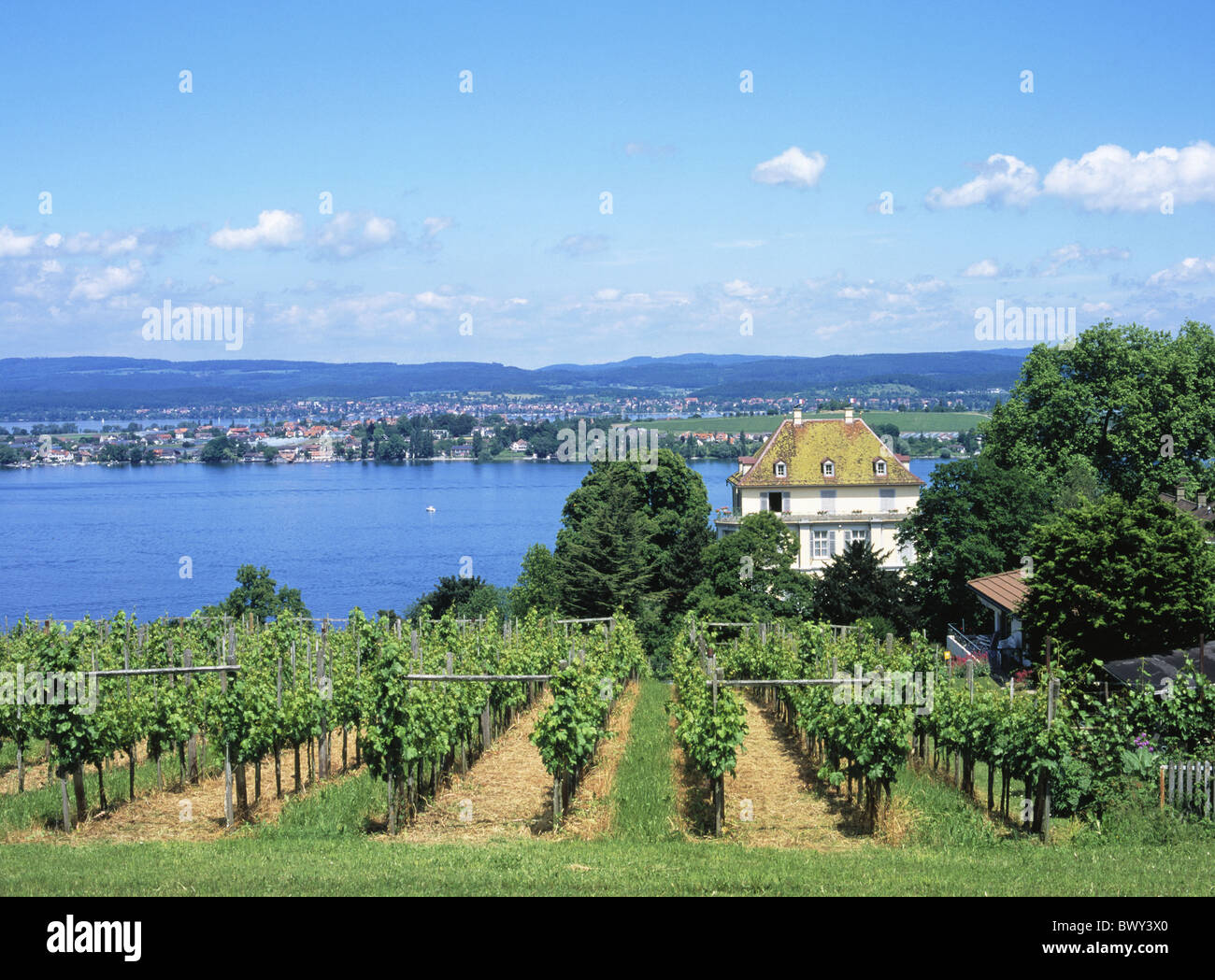 Il lago di Costanza lago isola mare isola di Reichenau luoghi vigna germogli Salenstein castello Switze Arenenberg Foto Stock