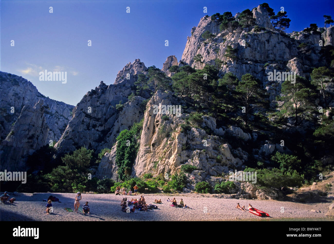 Lucertole da mare su una spiaggia di Marsiglia, nel sud della Francia. Foto Stock