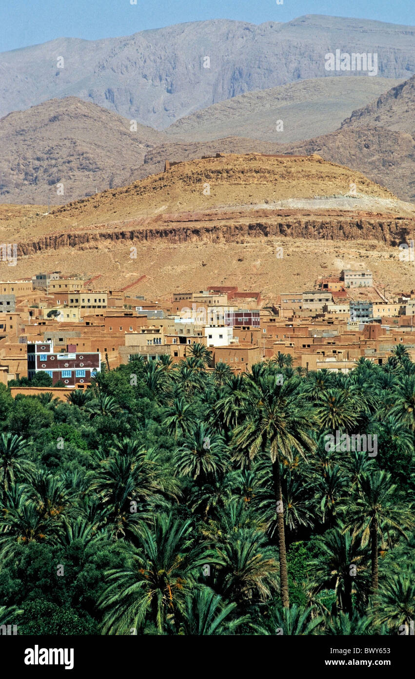 Città con le montagne Atlas in background in Tinerhir, Marocco, Africa del Nord. Foto Stock