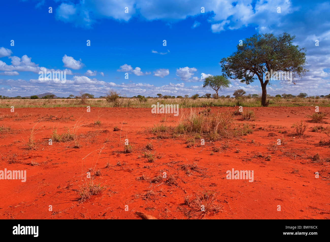 Tsavo National Park, Kenya Foto Stock