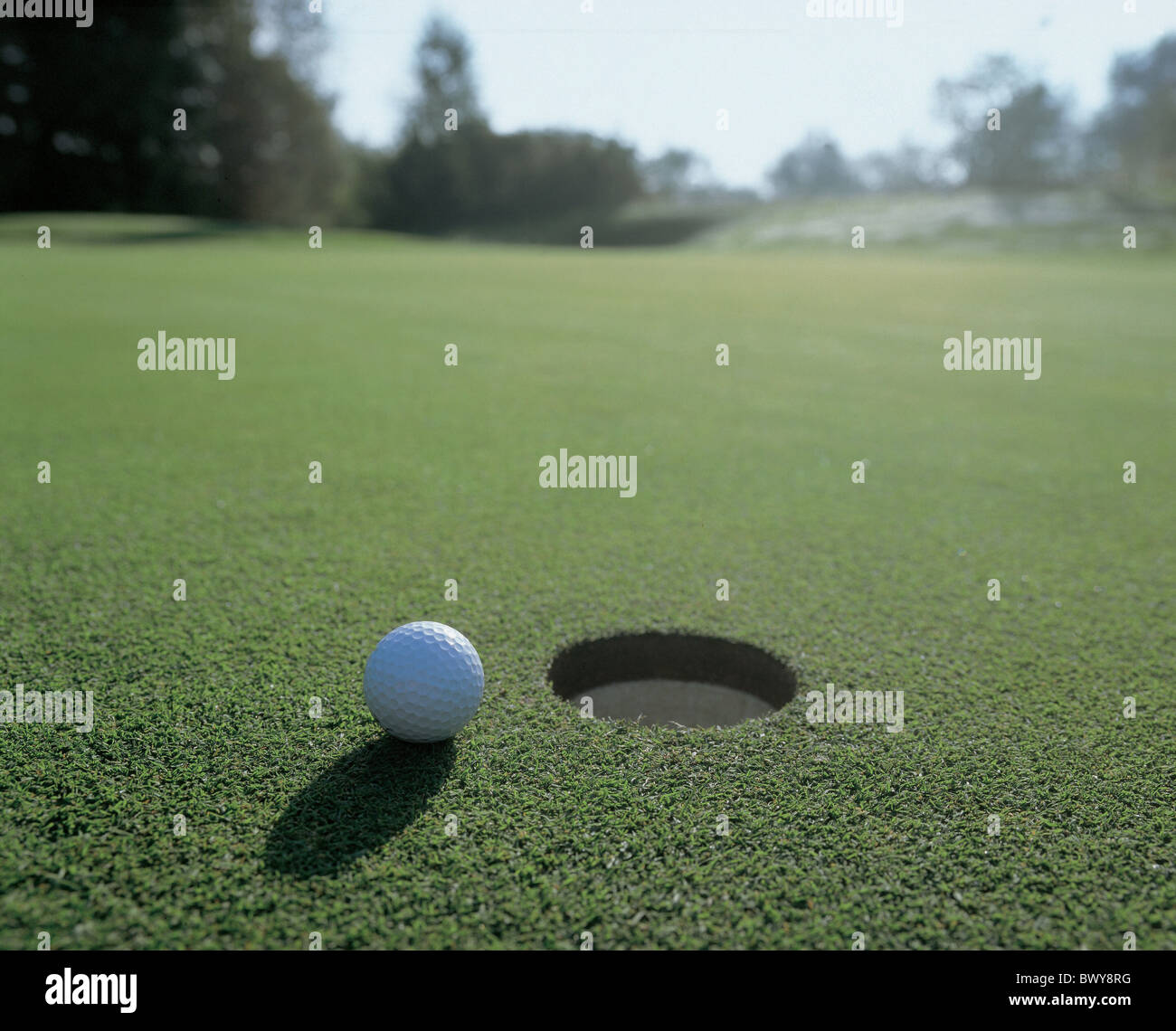 Dettaglio a sfera golf green golfo golfo foro sferico sport Foto Stock
