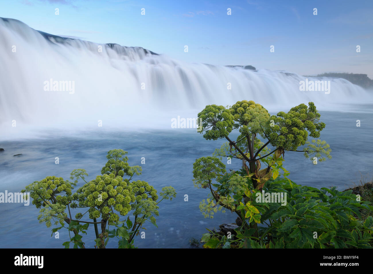 Faxifoss, Islanda Foto Stock