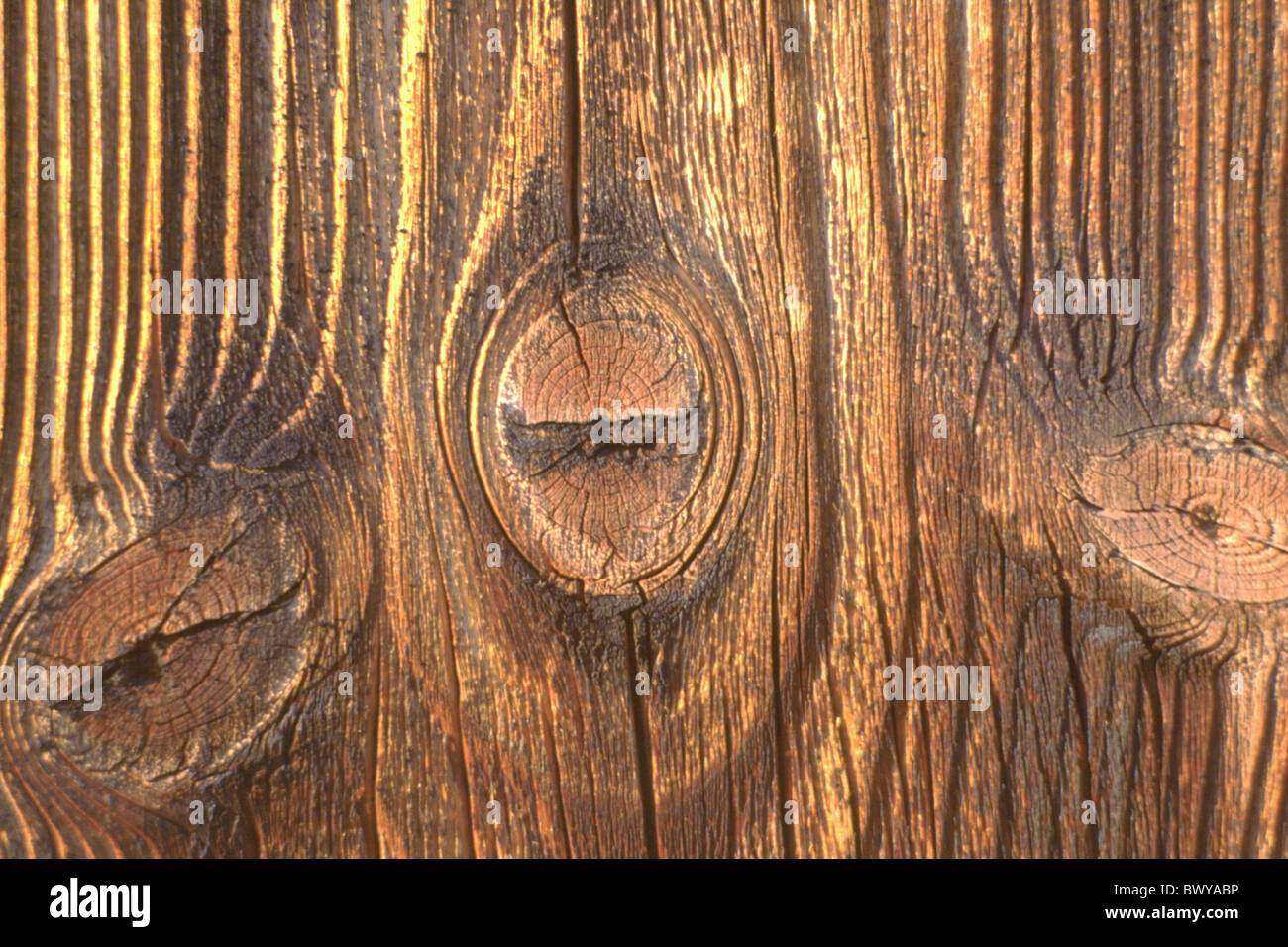 Dettaglio in legno occhi struttura di superficie Foto Stock