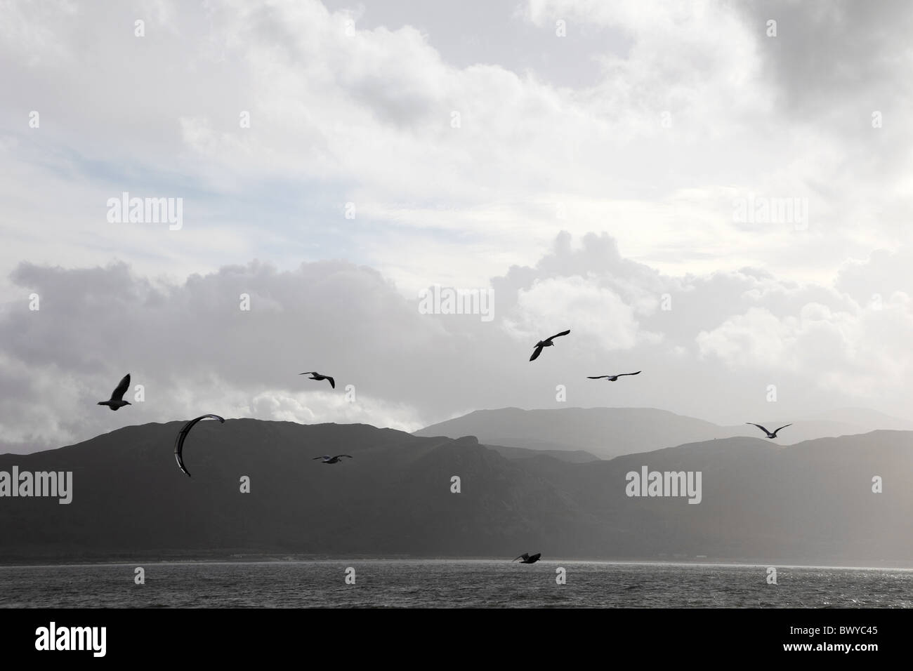 Moody visualizza Llandudno west shore affacciato sulla Baia di Conwy Galles del Nord Foto Stock