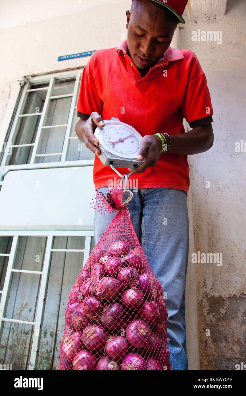 Le cipolle di pesatura per inventario presso una ONG (Maji Mazuri), Nairobi, Kenia Foto Stock