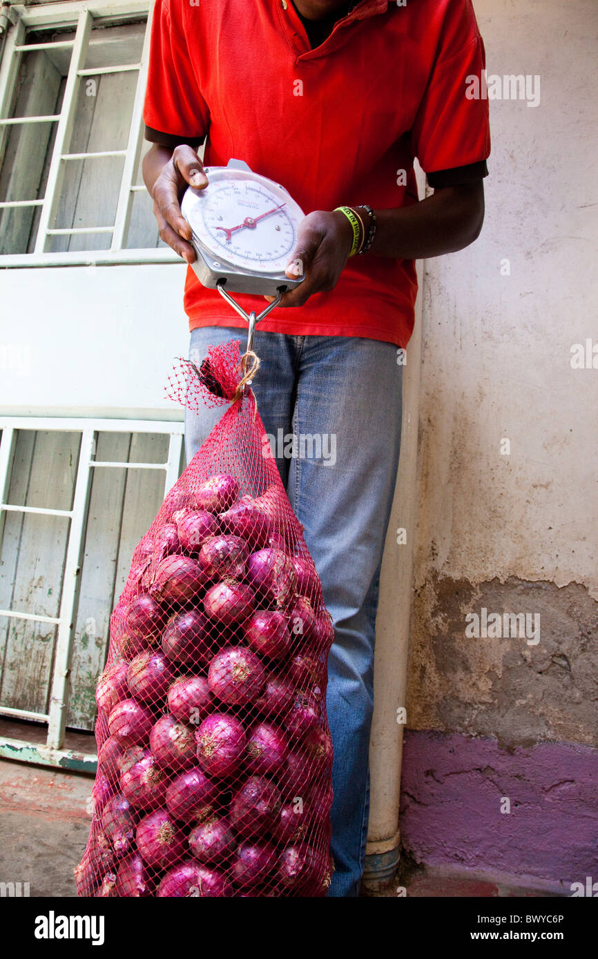 Le cipolle di pesatura per inventario presso una ONG (Maji Mazuri), Nairobi, Kenia Foto Stock