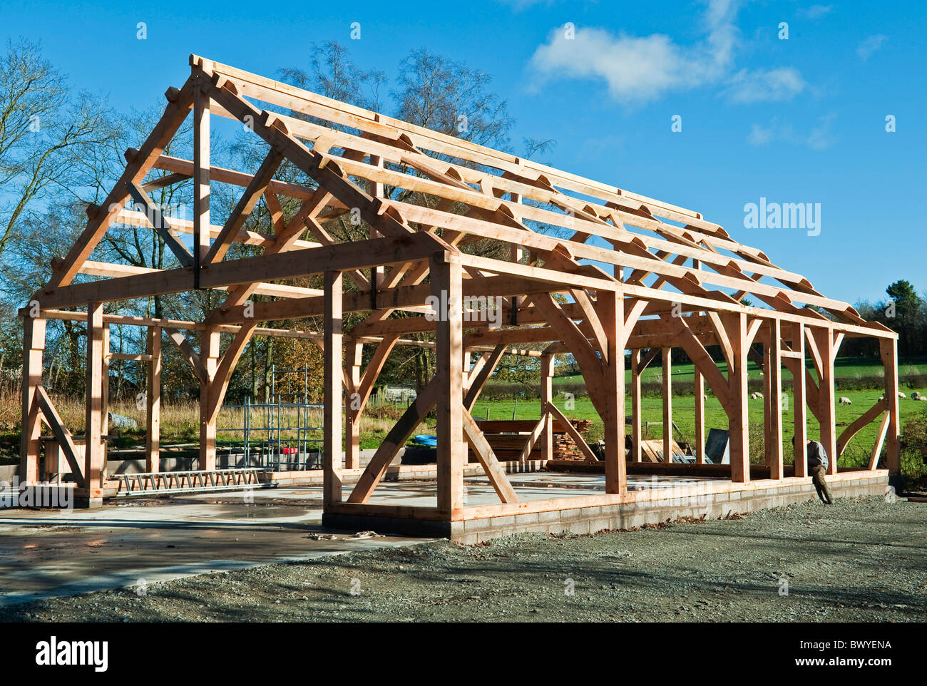 La costruzione di una tradizionale struttura di legno fienile in Radnorshire, UK. La struttura finita pronto per il rivestimento Foto Stock
