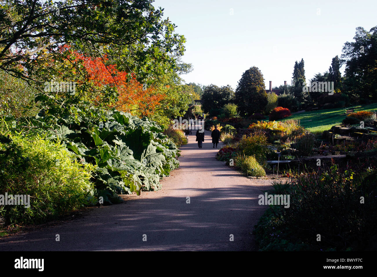 SENTIERO PER GIARDINI AUTUNNALI, RHS WISLEY Foto Stock