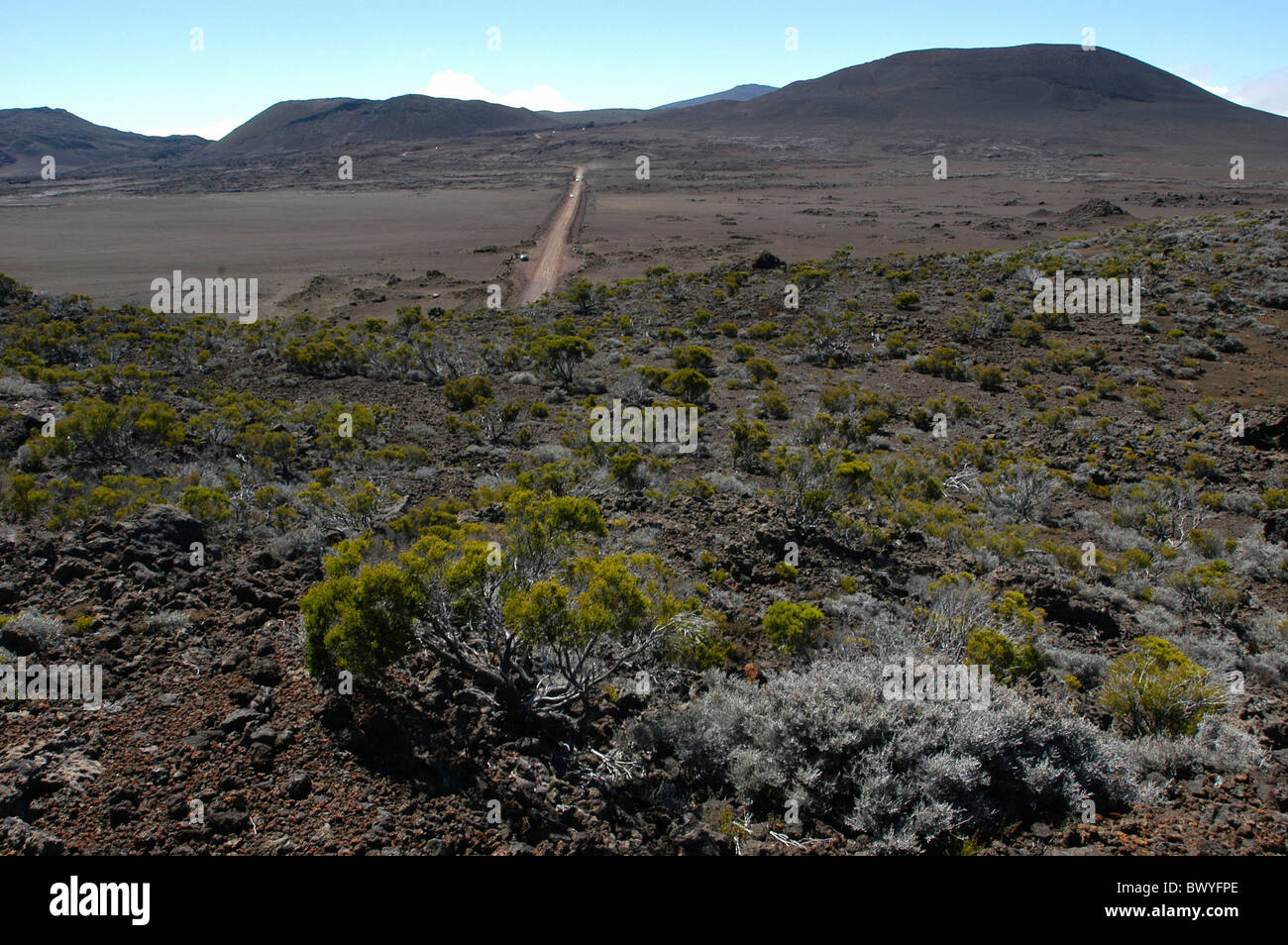 Ile de la Reunion oceano Indiano povere di paesaggi Piante panoramica strada volcanical vulcanismo deserto Foto Stock