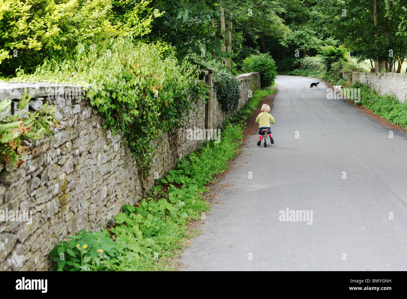 Ragazzo equilibrio di equitazione bicicletta lungo il vicolo del paese con i cani Foto Stock