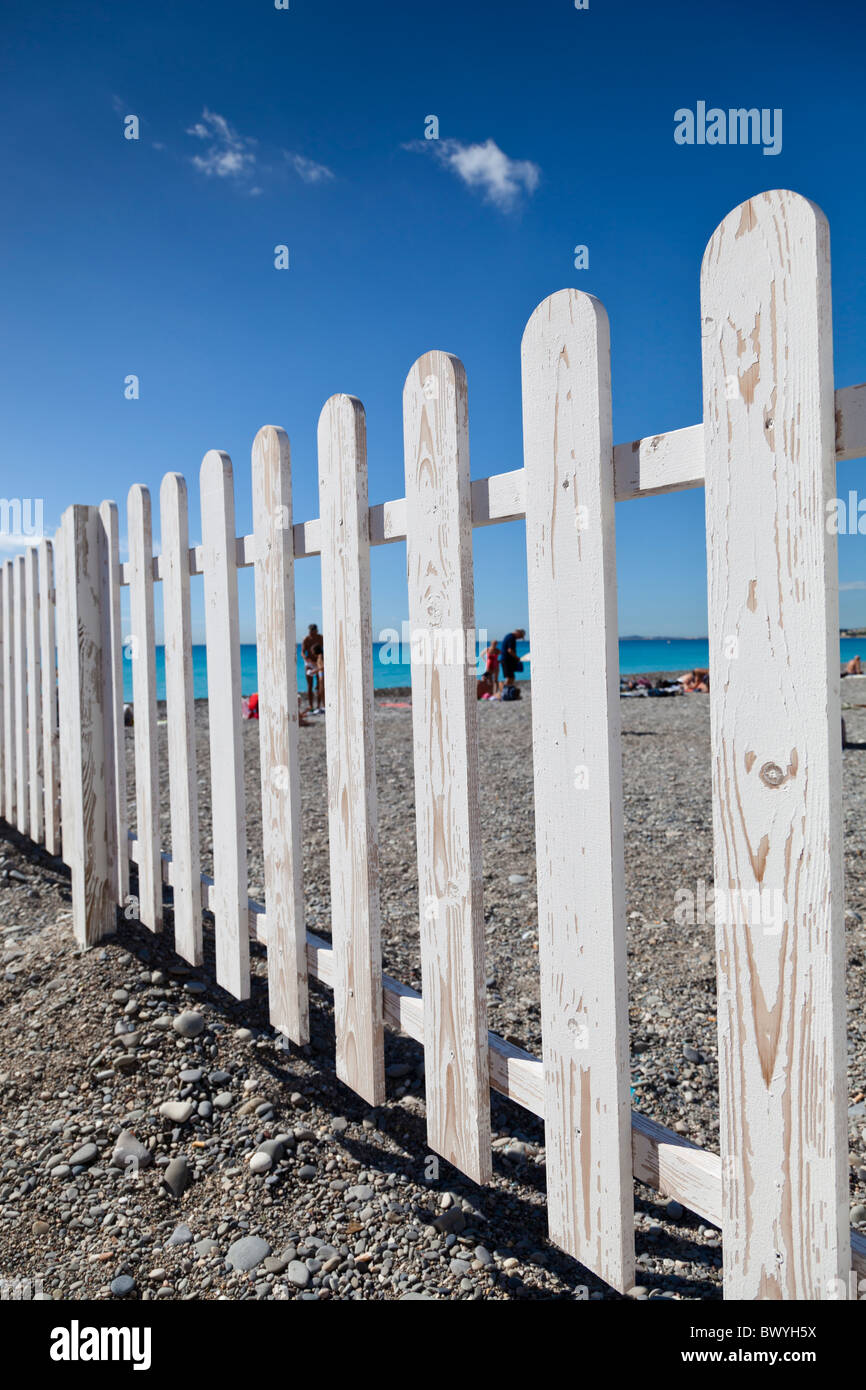 Lucertole da mare sulla spiaggia di Nizza, Francia, visto attraverso la palizzata scherma. Foto Stock