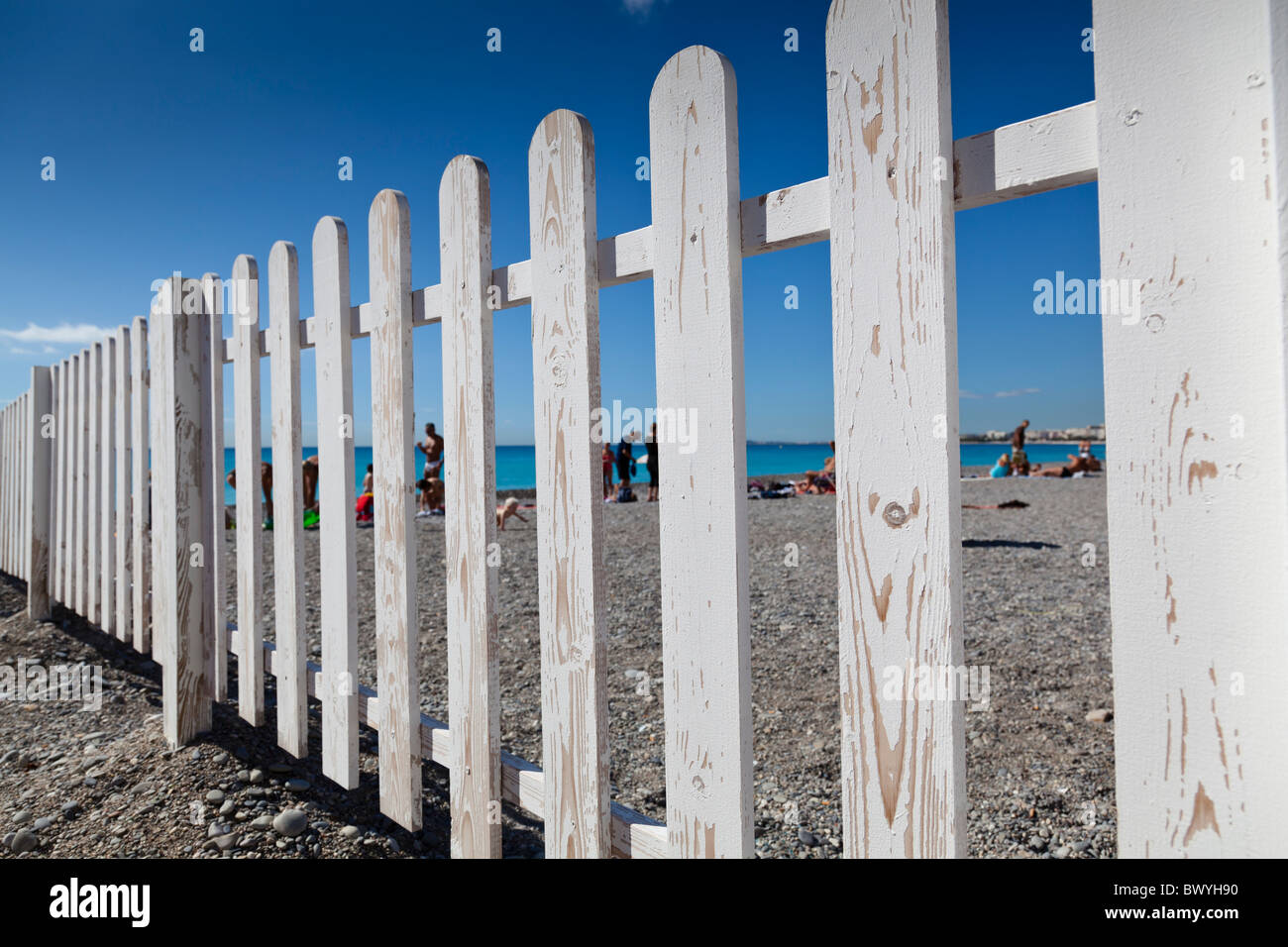 Lucertole da mare sulla spiaggia di Nizza, Francia, visto attraverso la palizzata scherma. Foto Stock