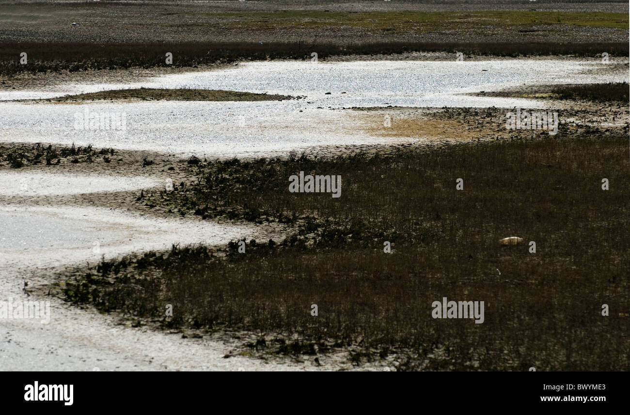 Paesaggio di palude con la bassa marea marrone con erbe che crescono su mudbanks e interessanti forme di Waters Edge Foto Stock