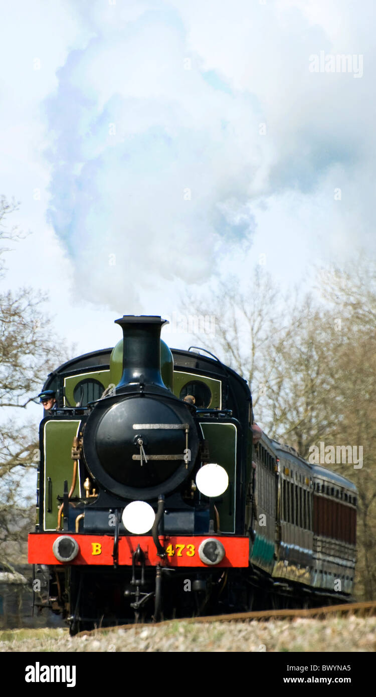 Bluebell stazione ferroviaria meridionale Londra Brighton South Coast Railway classe E4 0-6-2T 473 boschetto di betulle Foto Stock