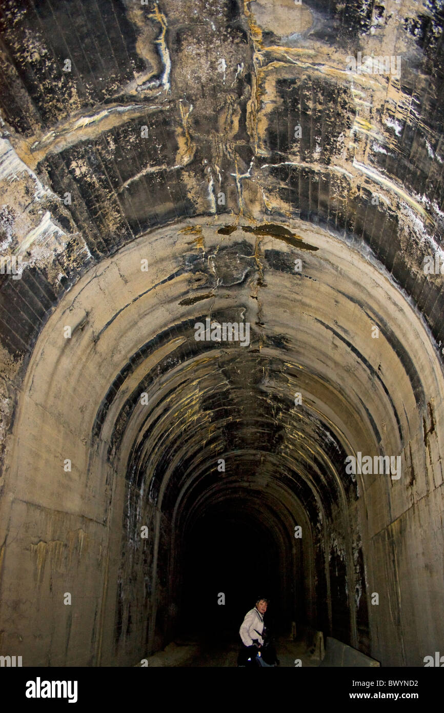 Lime agente legante utilizzato nella costruzione di gallerie del treno gocciola dal calcestruzzo e la formazione di pattern artistici, Hiawatha Trail Foto Stock