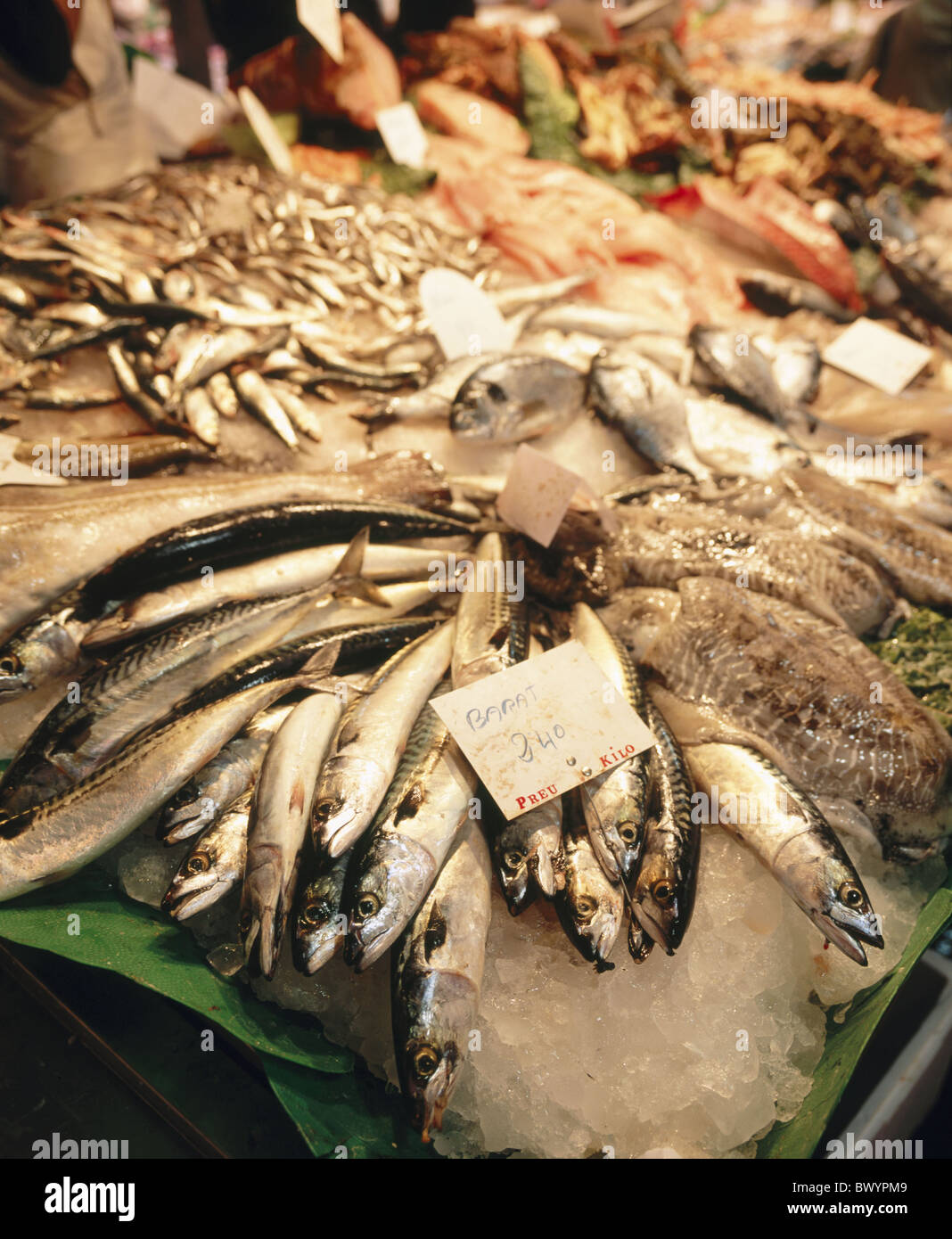 Barcellona cibo di ghiaccio a mangiare pesce pesce pesce del mercato del commercio alimentare commercio bollente cucina cucina cucina ma Foto Stock