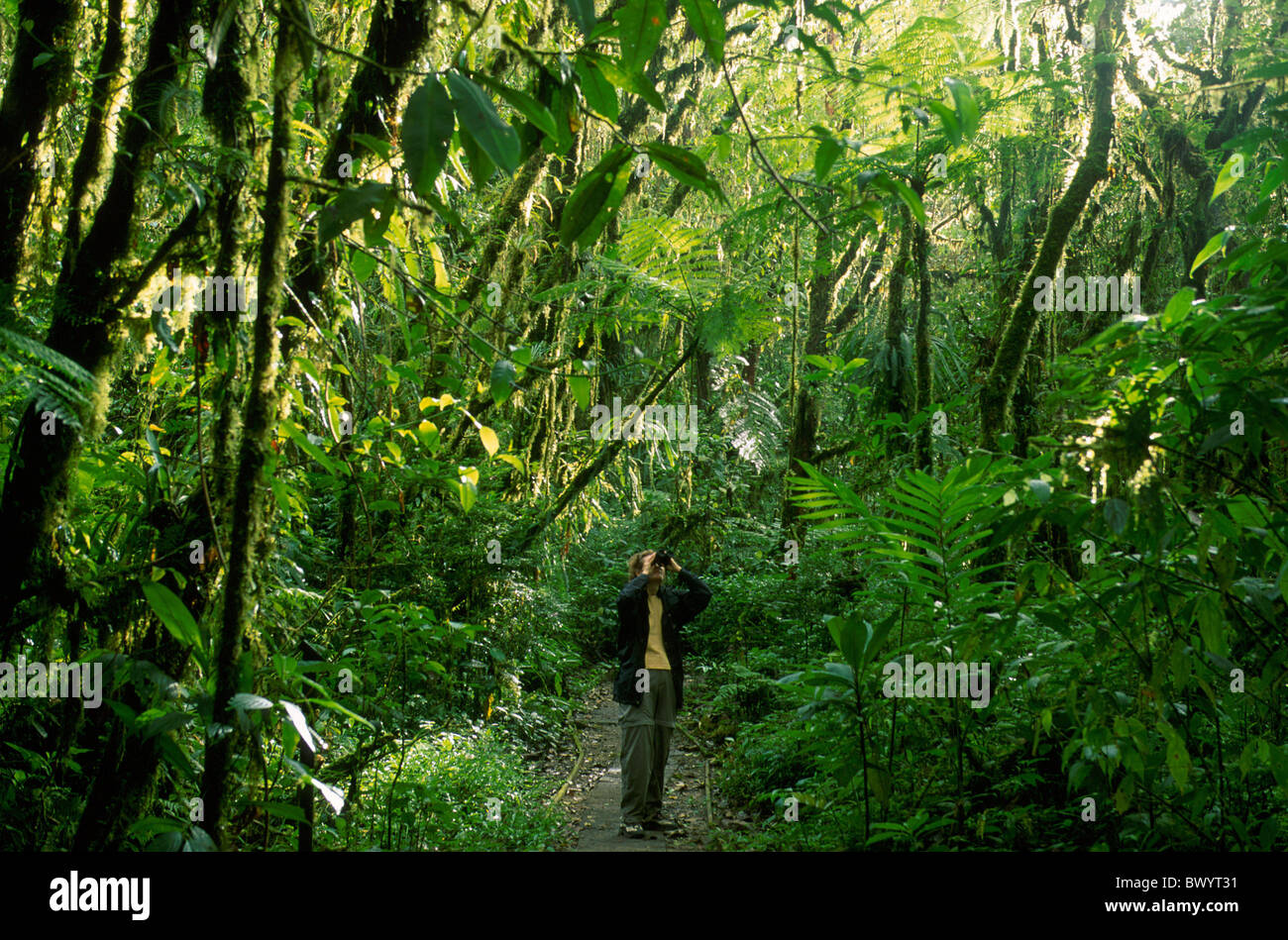 Binocolo Cloud Forest Reserva Santa Helena Costa Rica America Centrale settore occhiali osservare la natura primordiale Foto Stock