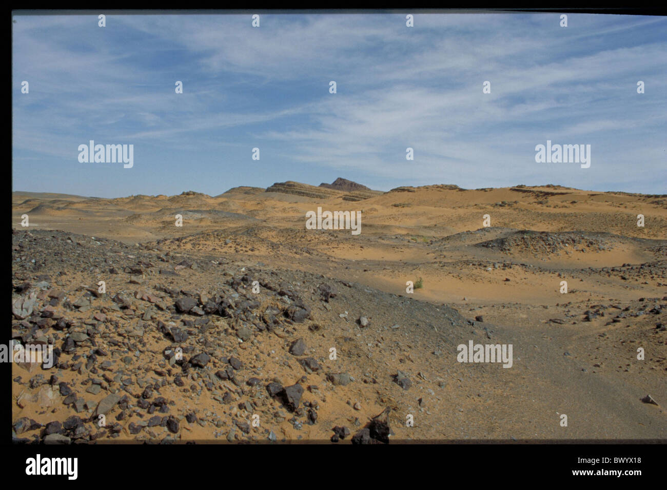 Deserto est fossili del Marocco Sahara Africa paesaggio paesaggio deserto di pietra Foto Stock