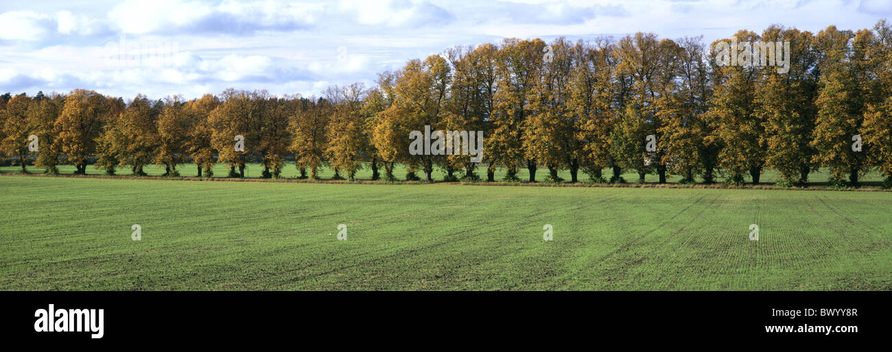 4 foto avenue foto serie 3 serie foto campo serie stagione autunno panorama Svezia Europa Uppl Foto Stock