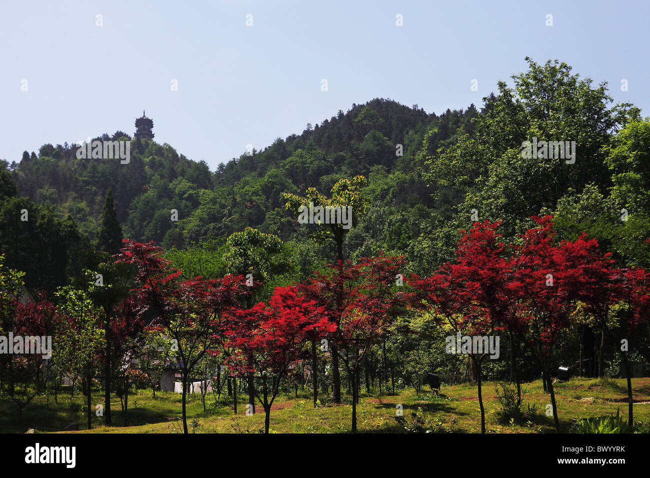 Serena Monte Jiuhua, Qingyang, provincia di Anhui, Cina Foto Stock