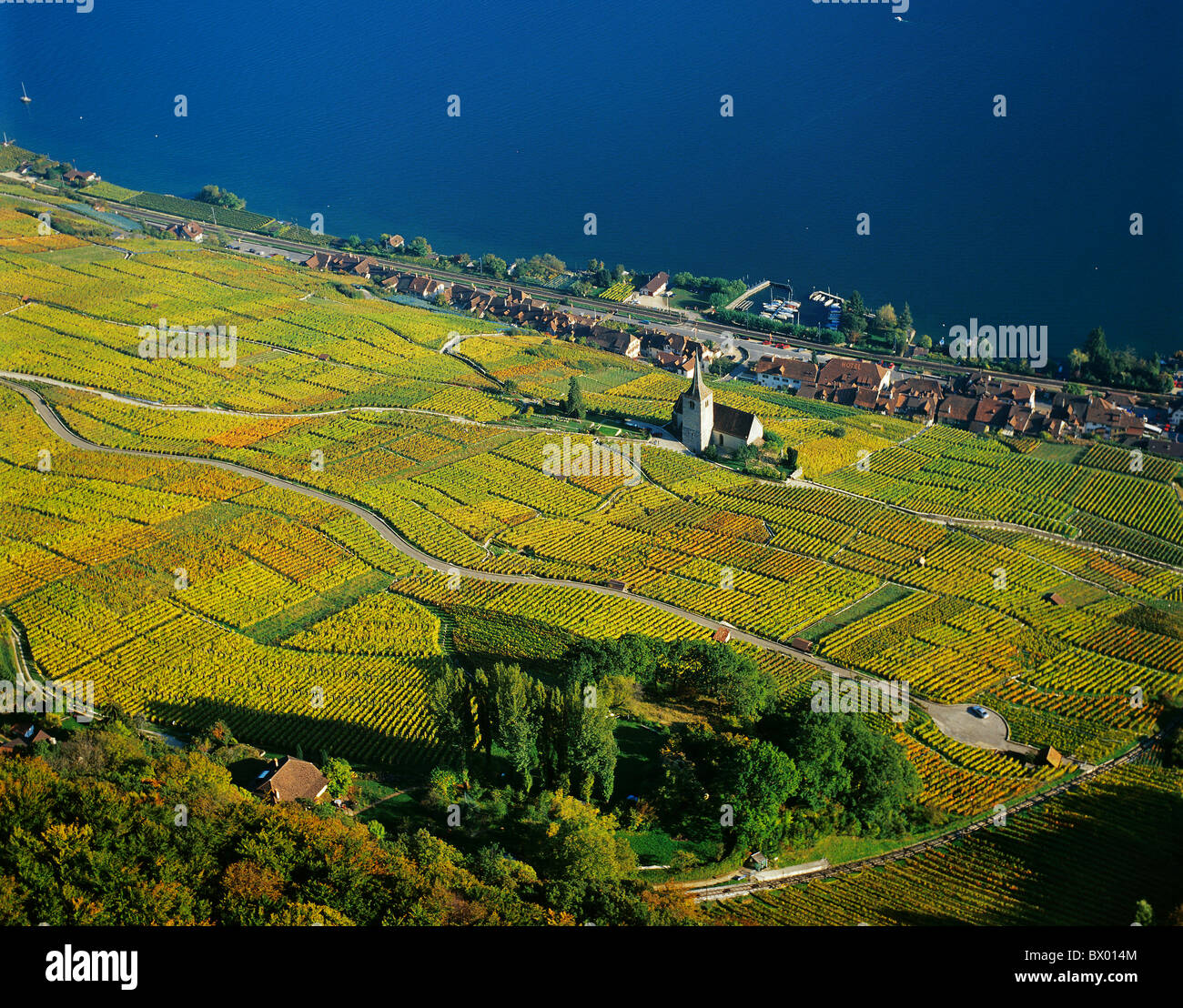 Il cantone di Berna al lago di Bienne lago mare Ligerz autunno foto aerea vista aerea vigneti Svizzera Europa Foto Stock