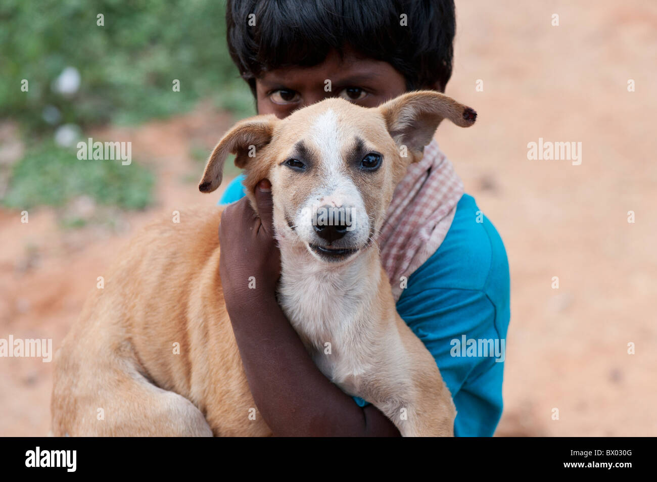 Ragazzo indiano tenendo un sorridente cane. Andhra Pradesh, India Foto Stock