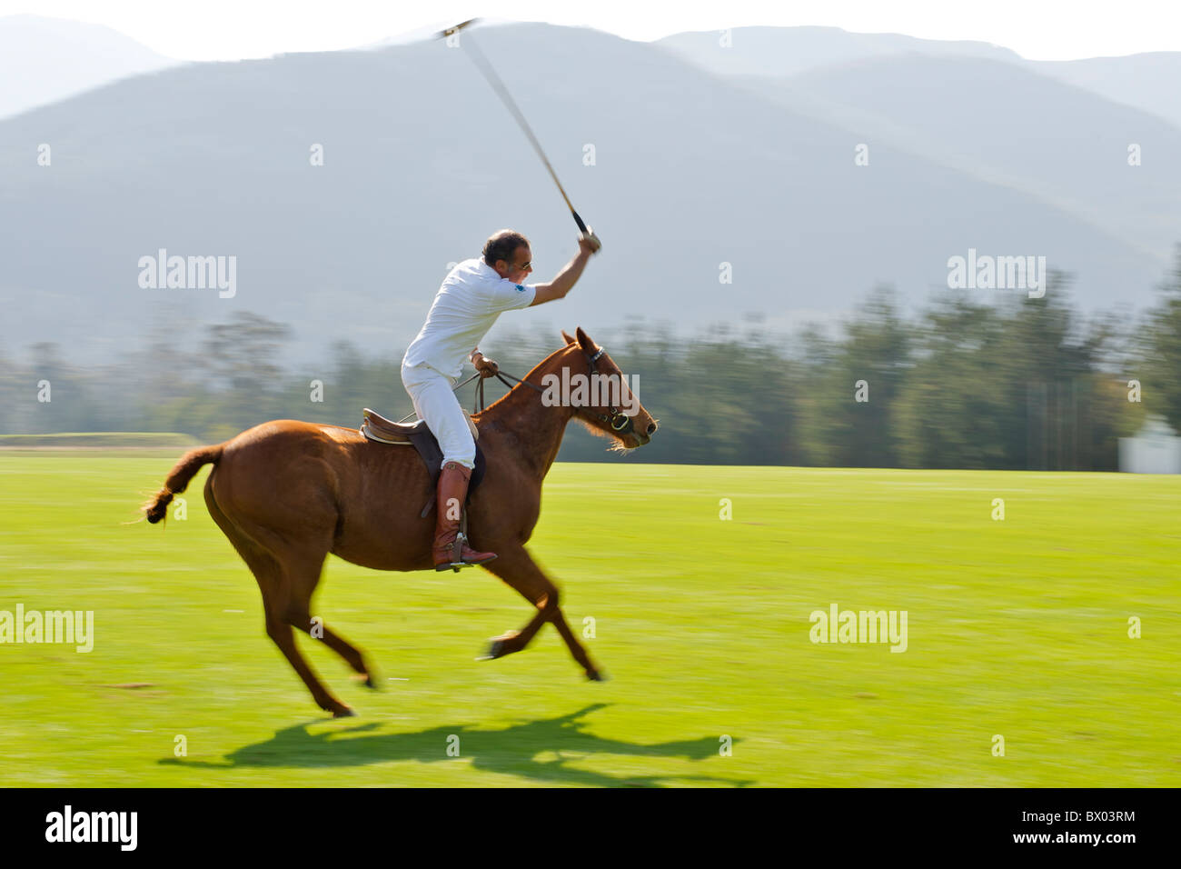 La pratica di polo sul Kurland estate in Plettenberg Bay sulla Garden Route del Sud Africa. Foto Stock