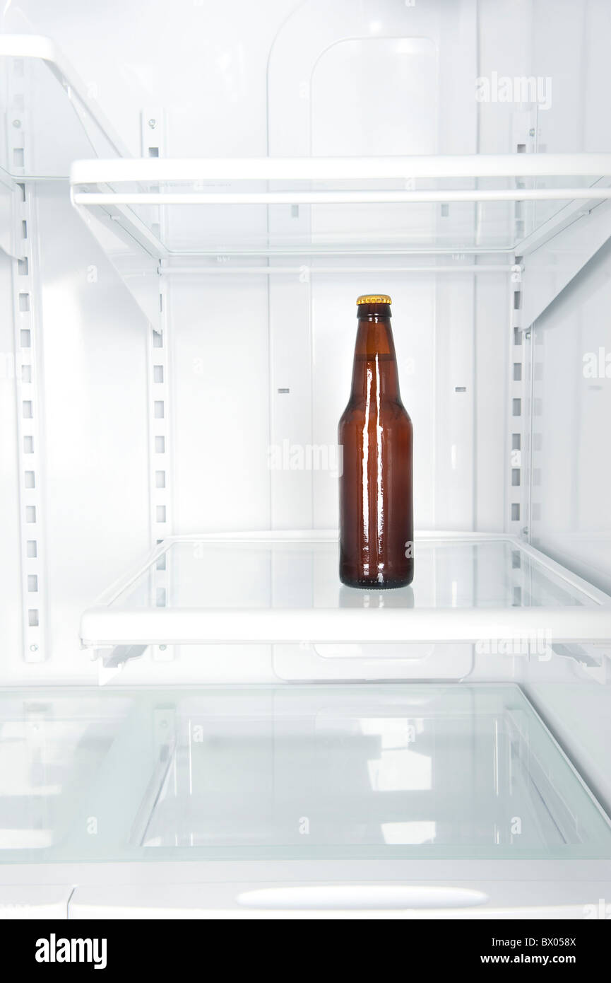 Una sola bottiglia di birra in un grande vuoto, frigorifero domestico. Foto Stock