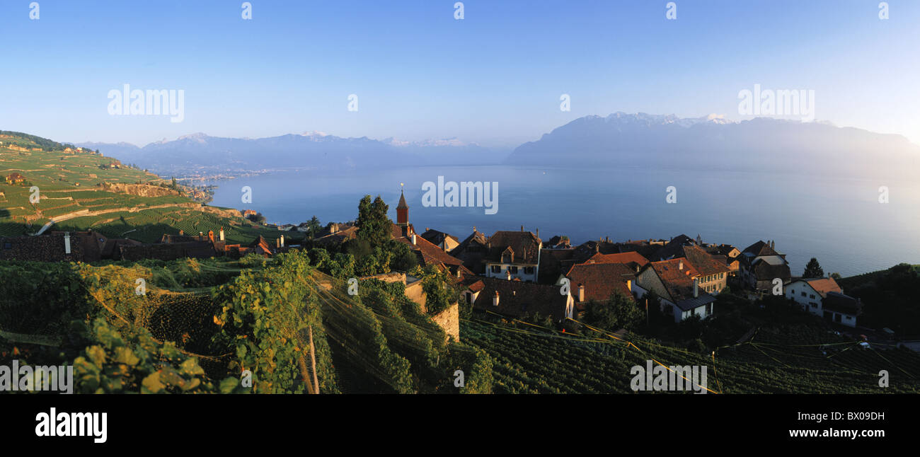 Atmosfera serale sul lago di Ginevra Lavaux sul Lago di Ginevra panorama Rivaz Svizzera Europa Vaud area vino Foto Stock