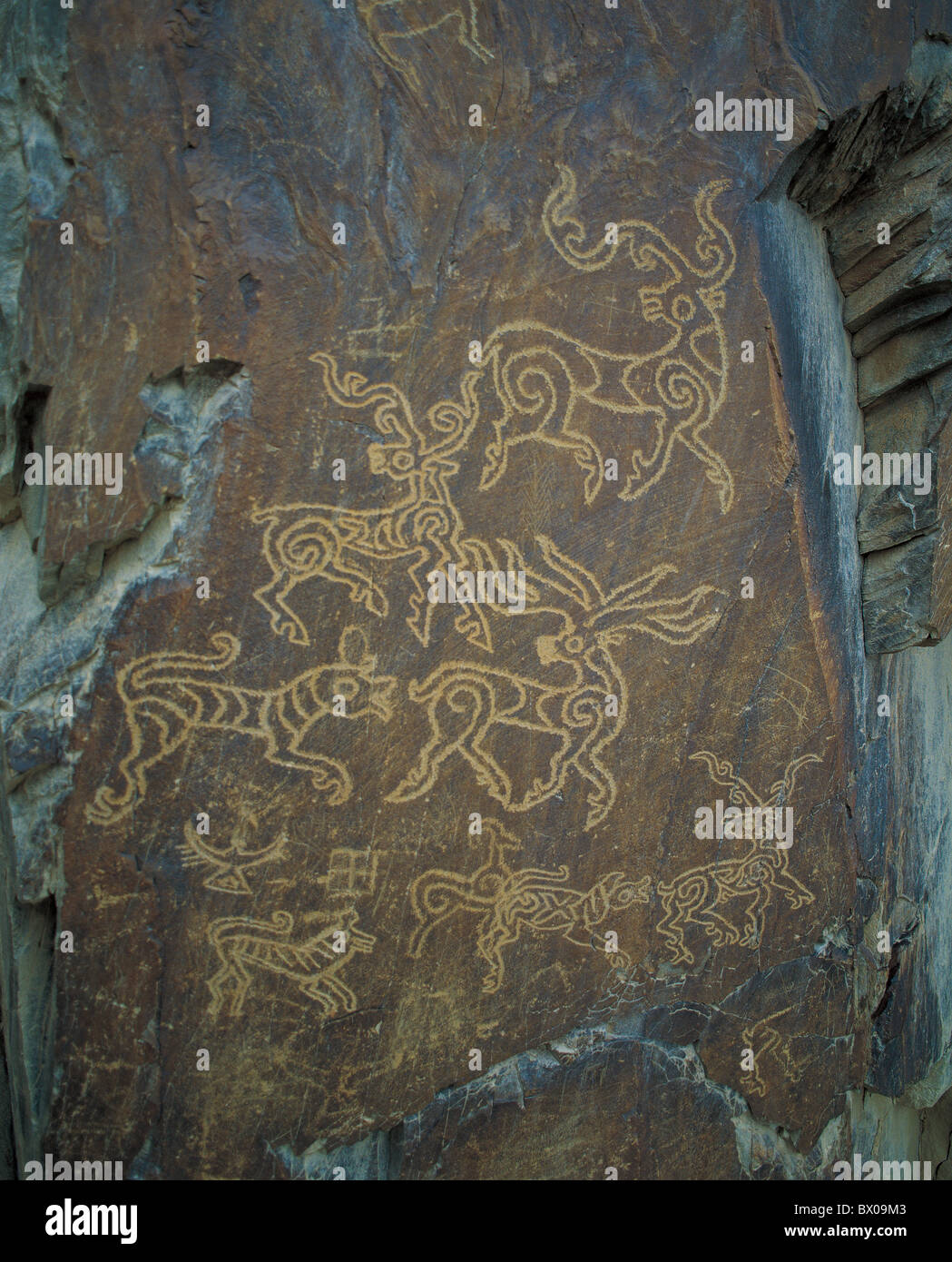 Antiche incisioni rupestri dal Neolitico, Ngari, Tibet, Cina Foto Stock