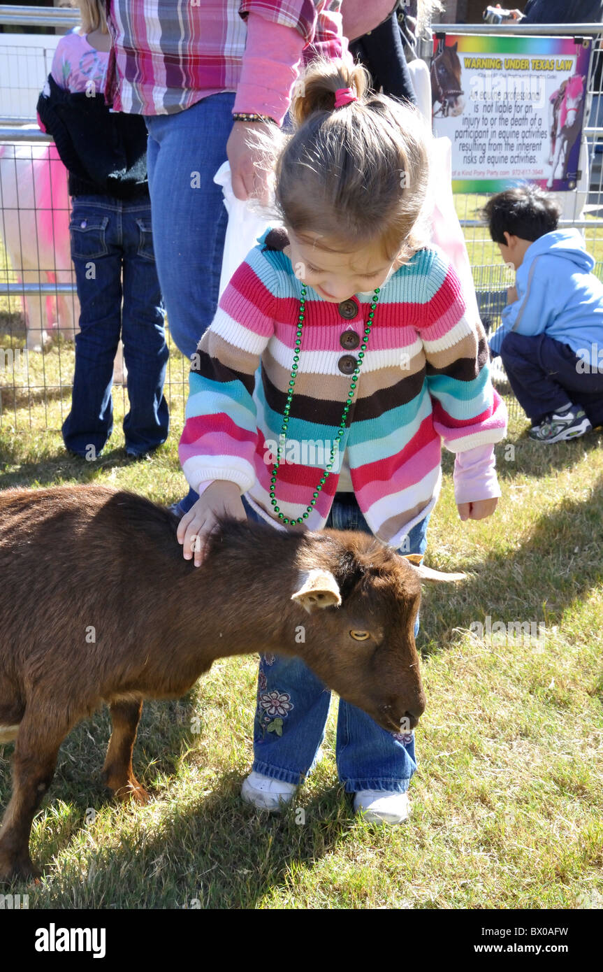 Petting zoo Foto Stock