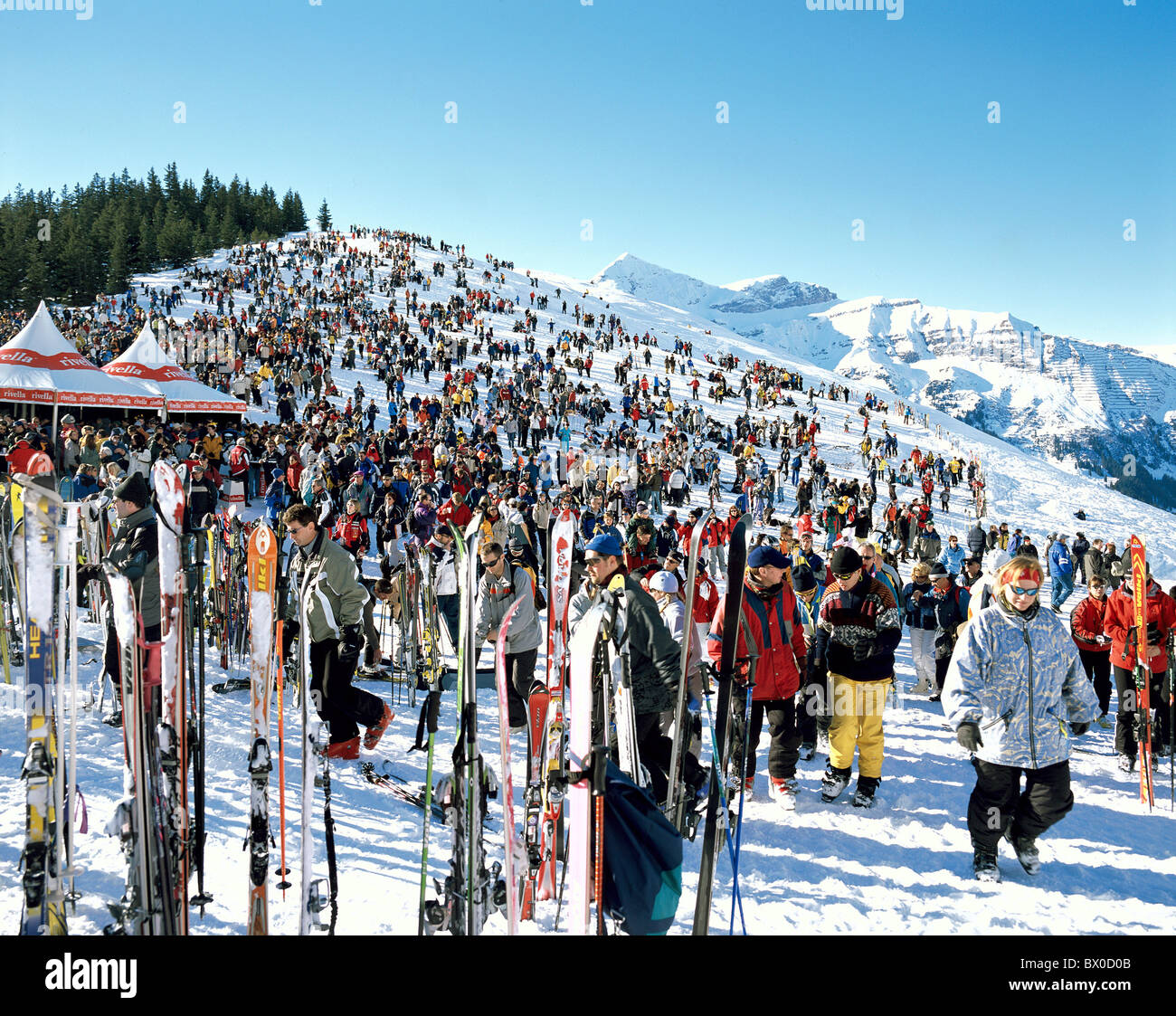Alpine montagne delle Alpi sport invernali sport Lauberhorn andare hill canton Berna gara del Lauberhorn persone folla di Foto Stock