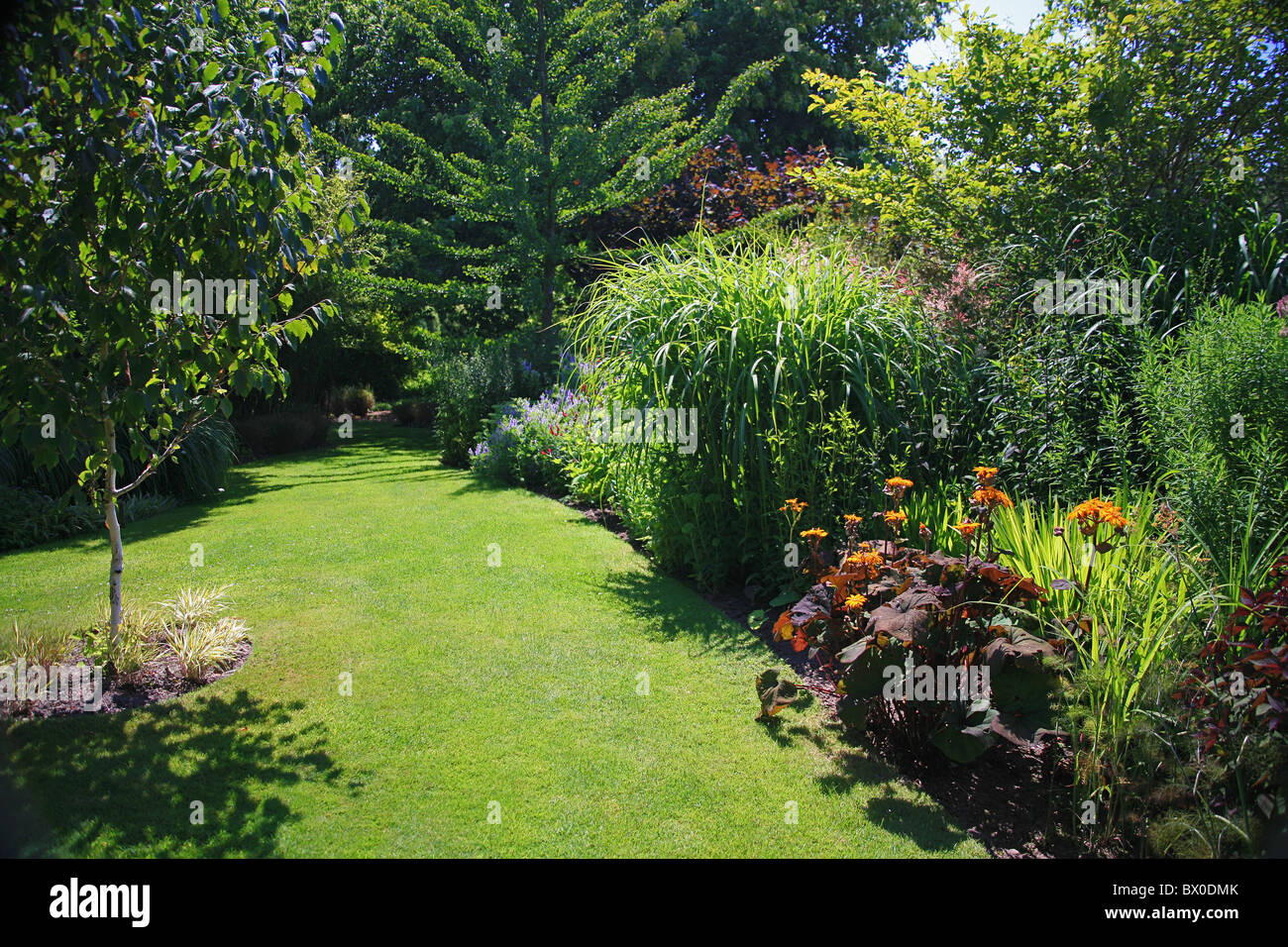 Il display di estate in Knoll Giardini a Wimborne, Dorset, England, Regno Unito Foto Stock