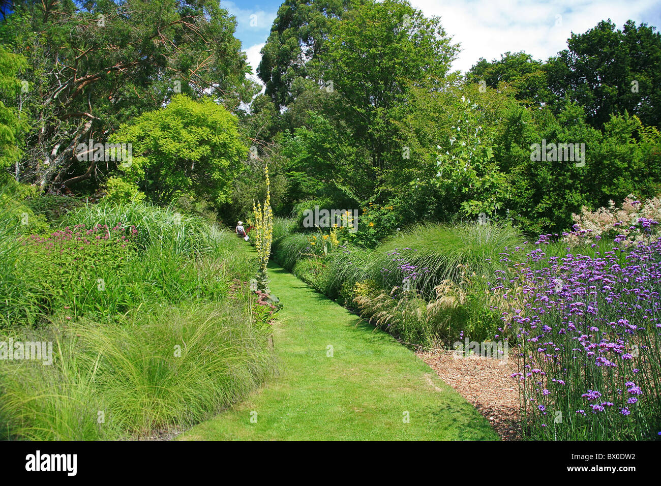 Il display di estate in Knoll Giardini a Wimborne, Dorset, England, Regno Unito Foto Stock